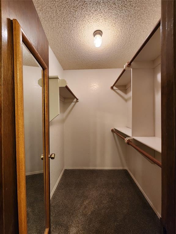 spacious closet featuring dark colored carpet