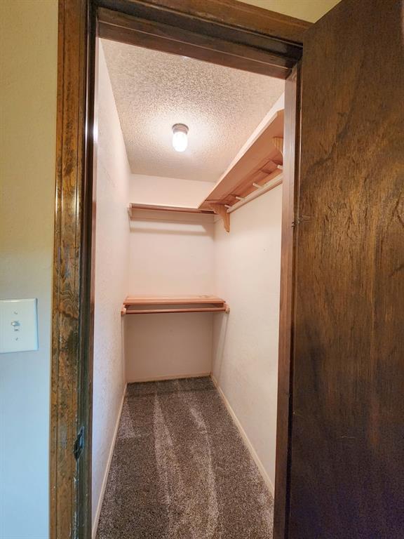 spacious closet with carpet