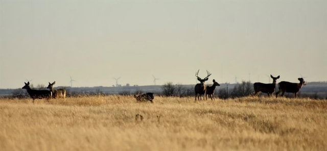 17256 E 800th Rd, Crawford, OK 73642