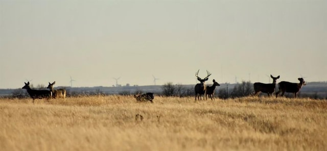 17256 E 800th Rd, Crawford OK, 73642 land for sale