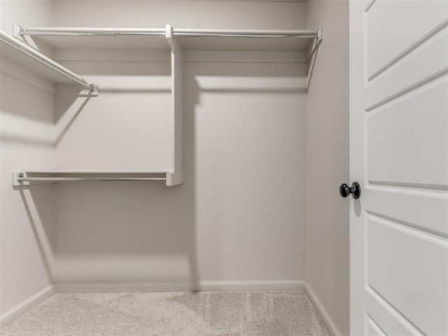 walk in closet featuring carpet