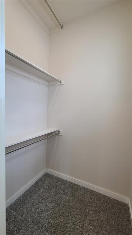 spacious closet featuring dark colored carpet