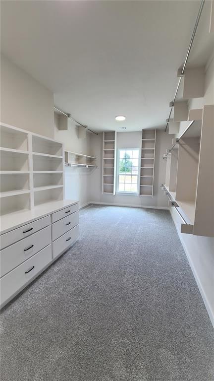 walk in closet with carpet