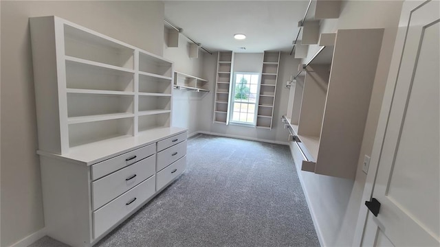 spacious closet with dark carpet