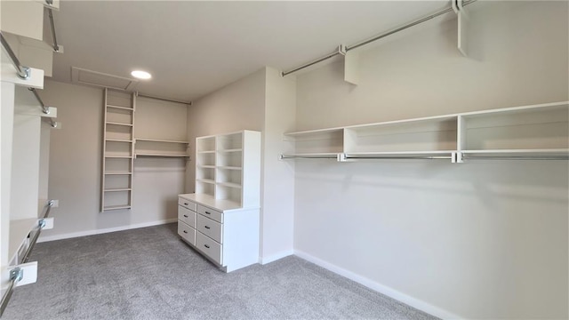 spacious closet with carpet