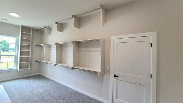 spacious closet featuring carpet floors