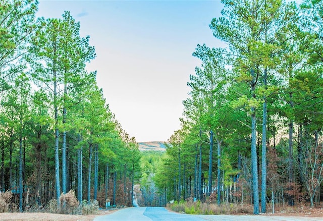 21 Mayflower Cir, Broken Bow, OK 74728 - view of asphalt road with a wooded view