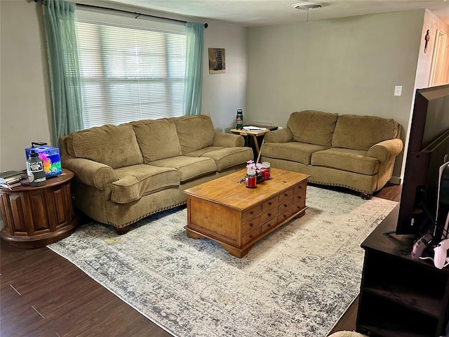 living room with wood-type flooring