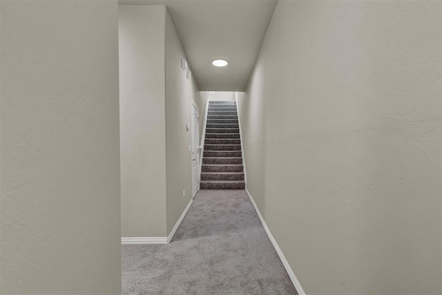 stairs with carpet flooring