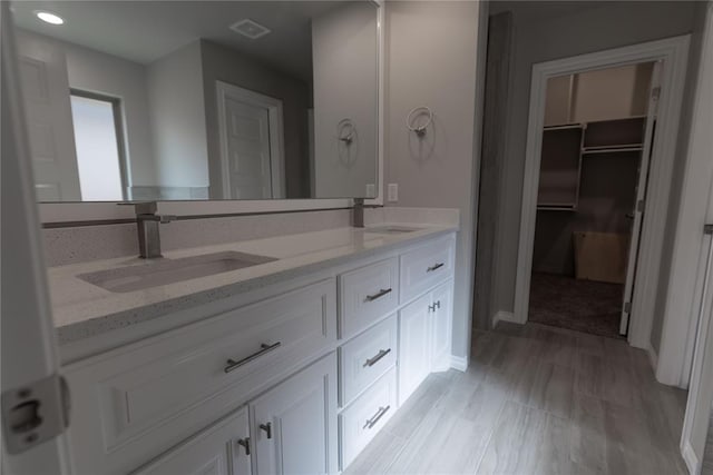 bathroom with hardwood / wood-style floors and vanity