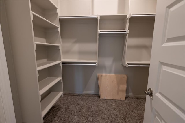 spacious closet with dark carpet