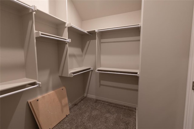 spacious closet featuring dark carpet