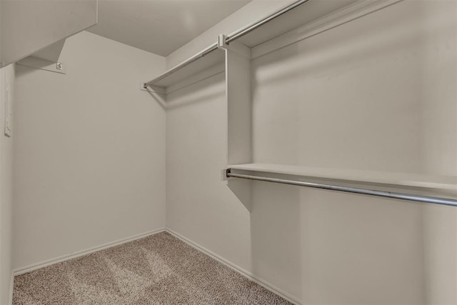 spacious closet with light colored carpet