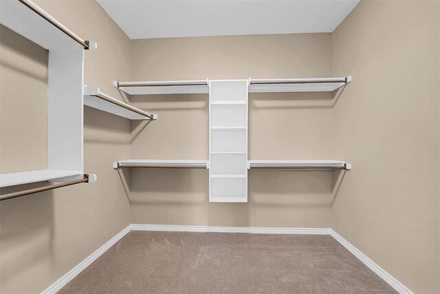 walk in closet with carpet