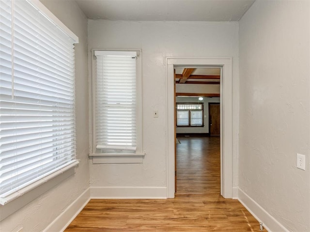 interior space featuring light hardwood / wood-style floors