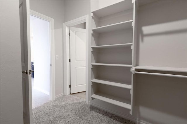 spacious closet featuring carpet flooring