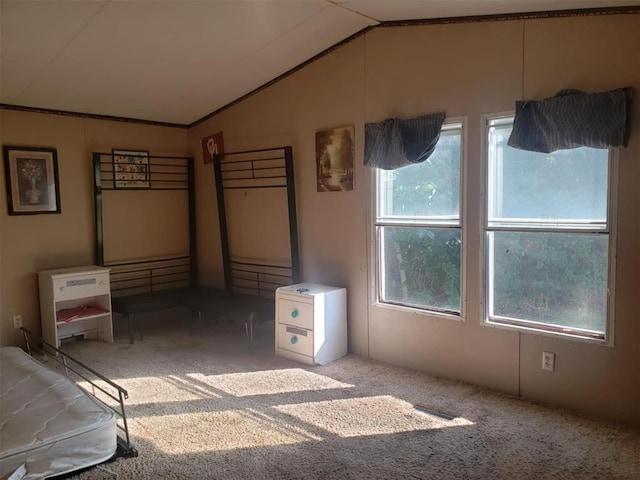 unfurnished bedroom featuring light carpet and vaulted ceiling