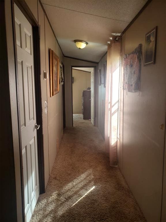 hall featuring light carpet and a textured ceiling