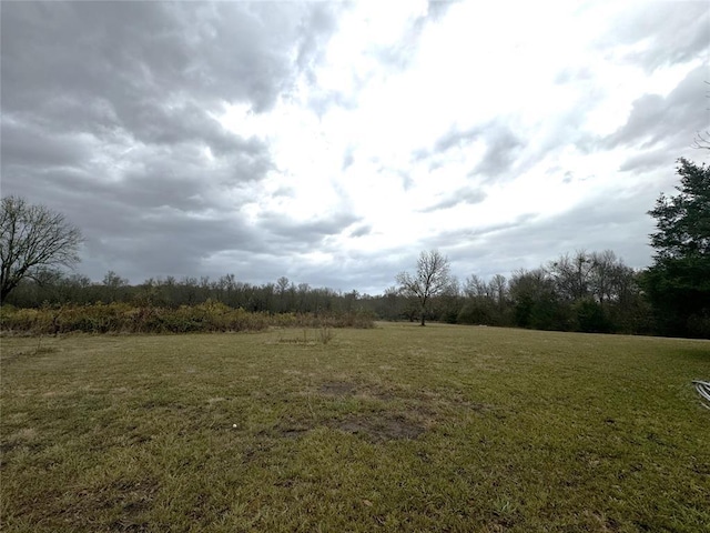 view of local wilderness with a rural view