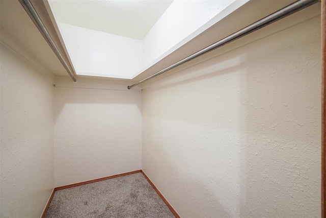 walk in closet featuring carpet flooring