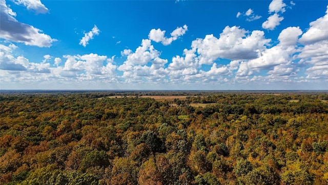 Bramble Ln, Broken Bow OK, 74728 land for sale