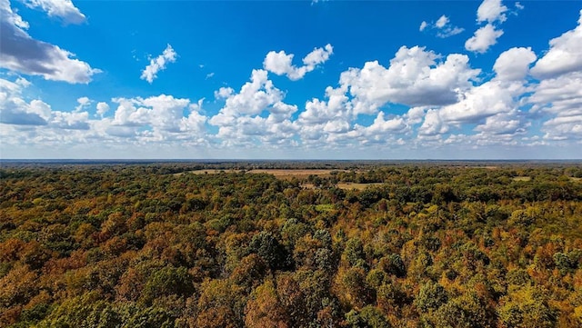 Bramble Ln, Broken Bow, OK 74728
