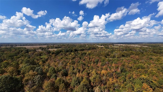 Bramble Ln, Broken Bow, OK 74728