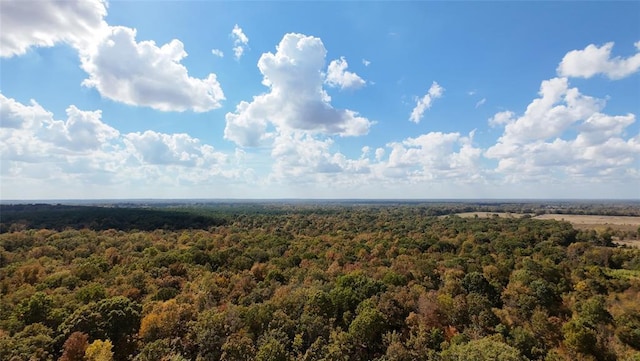 Bramble Ln, Broken Bow, OK 74728