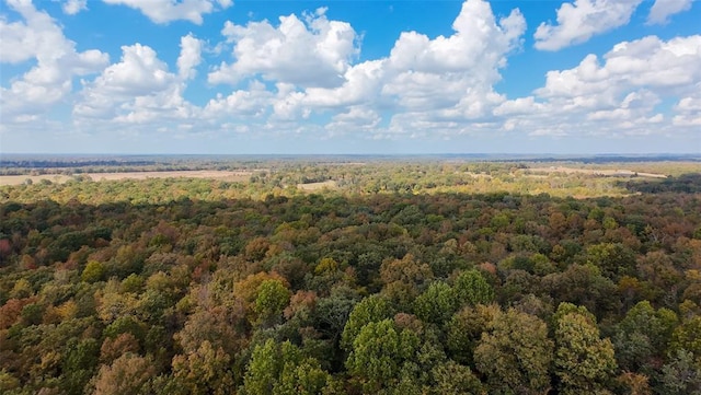 Bramble Ln, Broken Bow, OK 74728