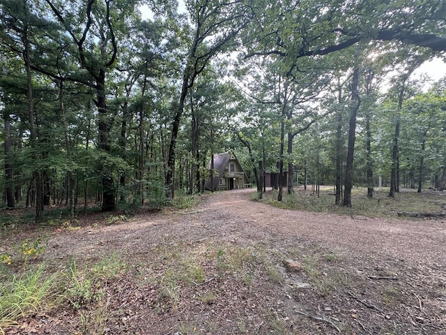 view of local wilderness