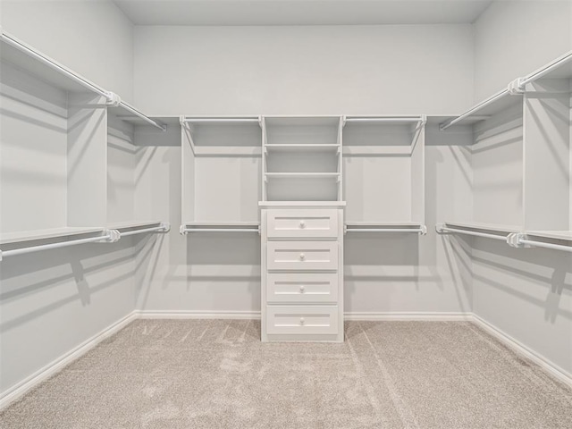 spacious closet featuring light carpet