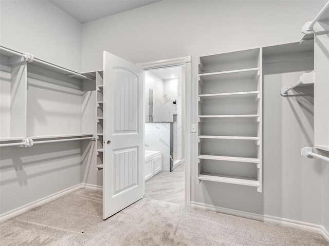 spacious closet featuring light colored carpet