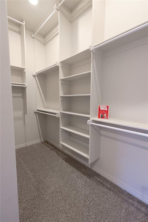 spacious closet featuring carpet flooring