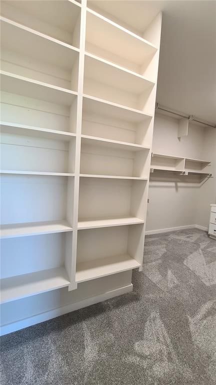 walk in closet with carpet flooring