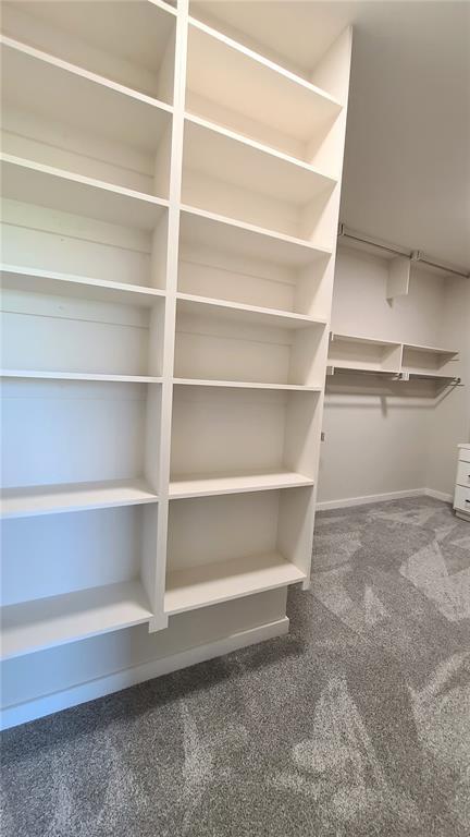 1425 W Harvard Way, Mustang, OK 73064 - walk in closet with carpet flooring