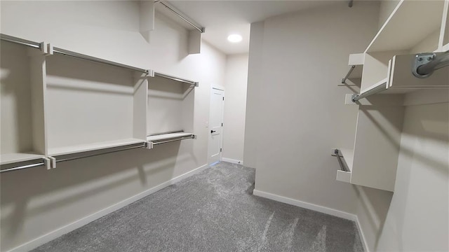 spacious closet featuring dark carpet