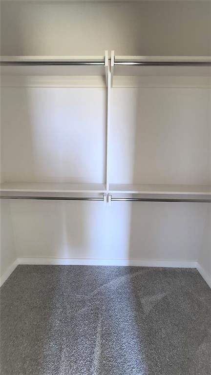 walk in closet with carpet