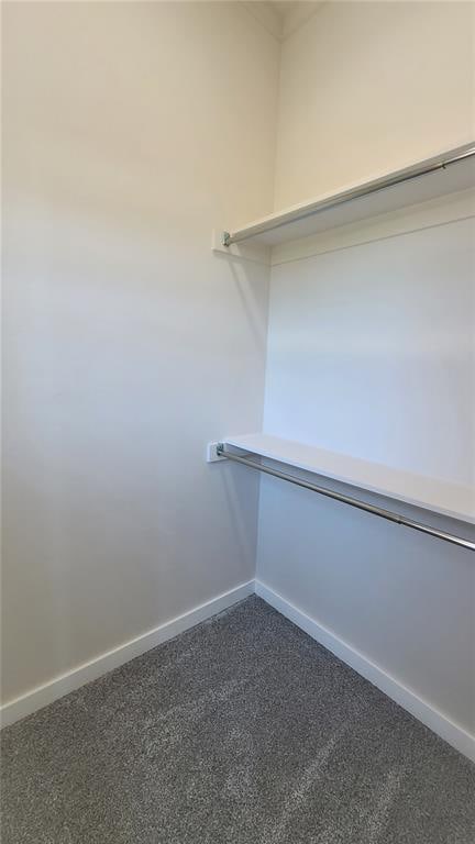 spacious closet with dark colored carpet