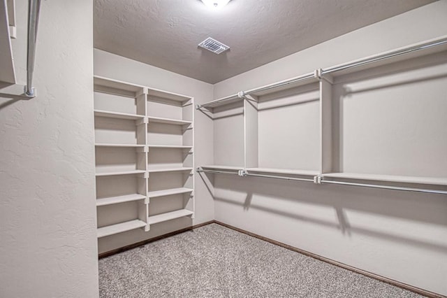 spacious closet featuring carpet floors