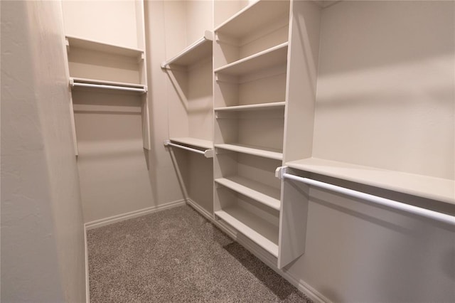 spacious closet with dark carpet