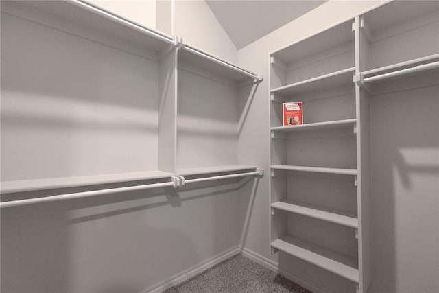 1733 Taines Turn, Norman, OK 73072 - spacious closet with vaulted ceiling and carpet