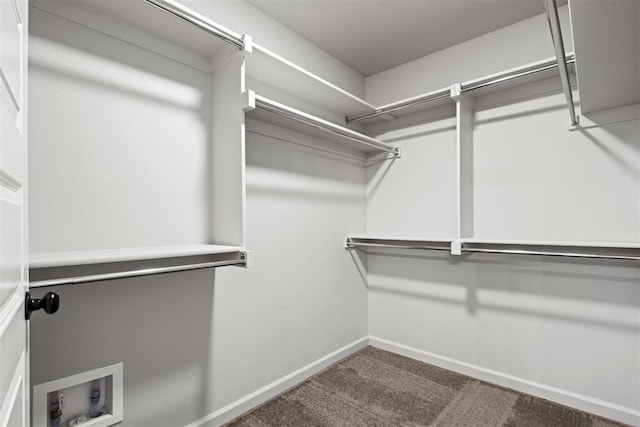 spacious closet featuring carpet floors