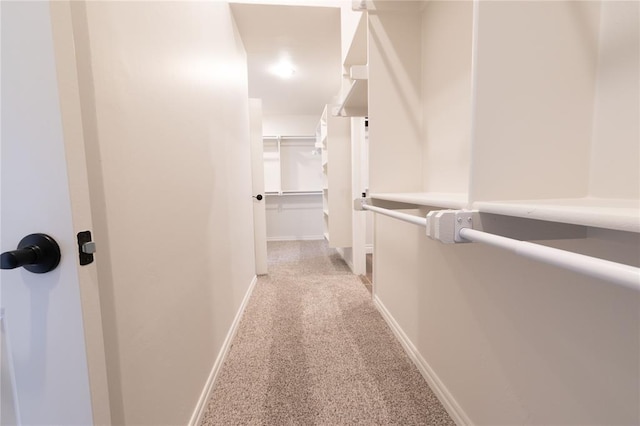 walk in closet with light colored carpet