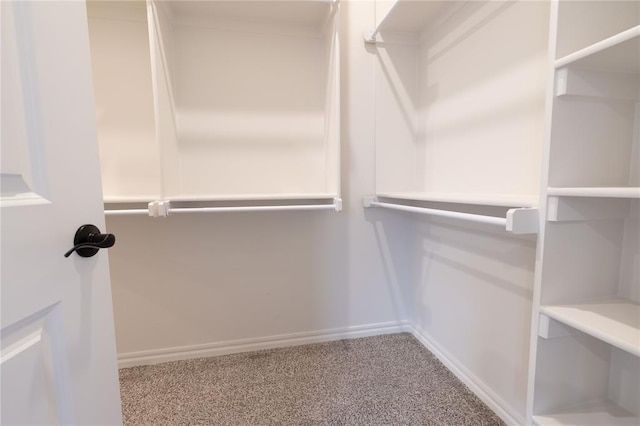 spacious closet with carpet