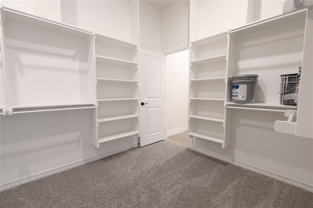 walk in closet featuring carpet floors