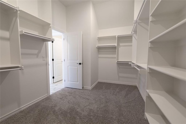 walk in closet with dark colored carpet