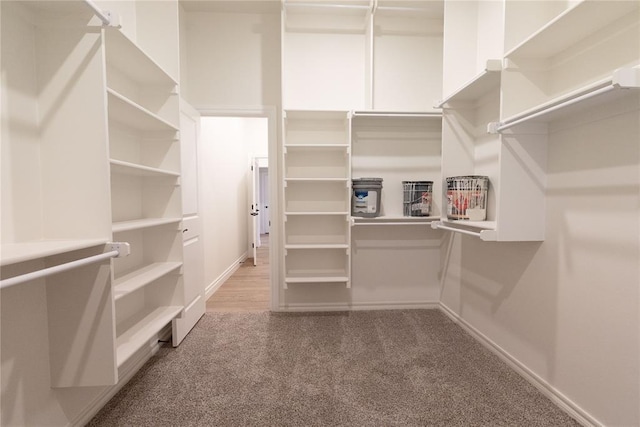 walk in closet featuring carpet floors