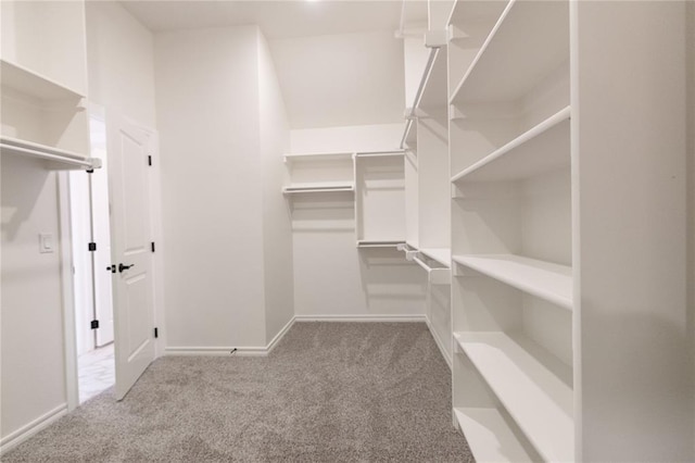 walk in closet featuring carpet flooring