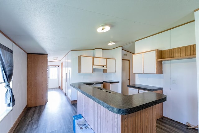 306 E Ninth St, Leedey, OK 73654 - kitchen featuring dark wood finished floors, under cabinet range hood, dark countertops, a center island, and white cabinetry