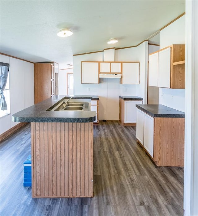 306 E Ninth St, Leedey, OK 73654 - kitchen with dark wood-type flooring, under cabinet range hood, dark countertops, and white cabinetry